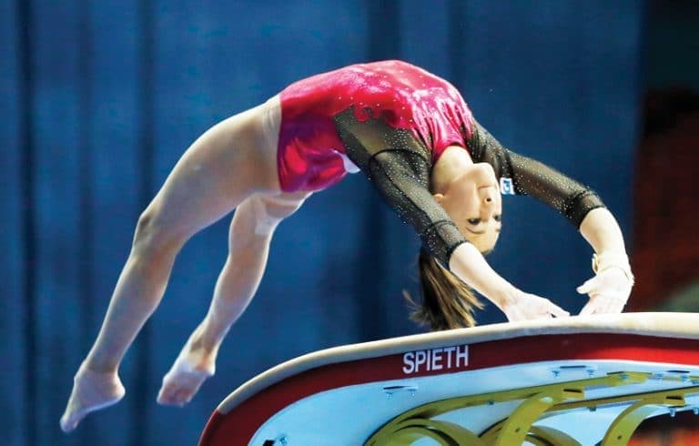 Veniturile din activitati sportive in 2018