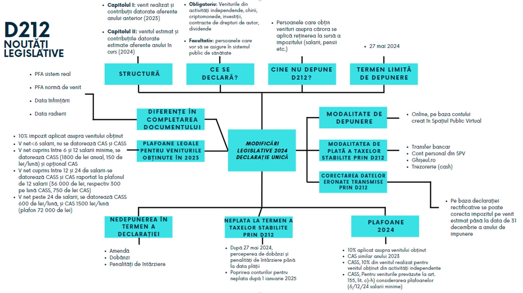 Model de completare a declarației unice 3